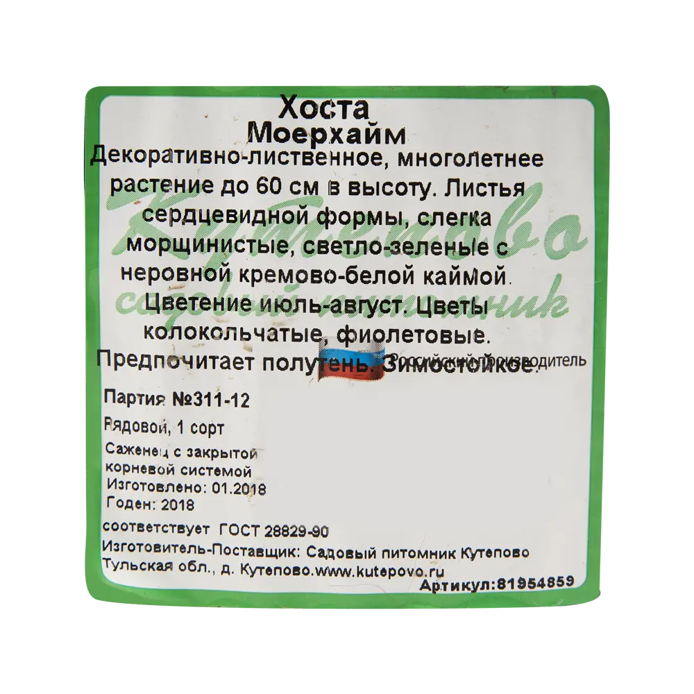 Хоста гибридная С2 «Моерхейм» h15 81954859 STLM-2196843 Santreyd  - Вид №2