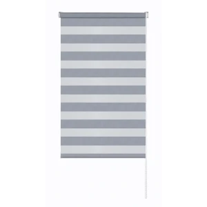 Рулонная штора день-ночь MIAMOZA Сиберия 55×160 см серая 89411419