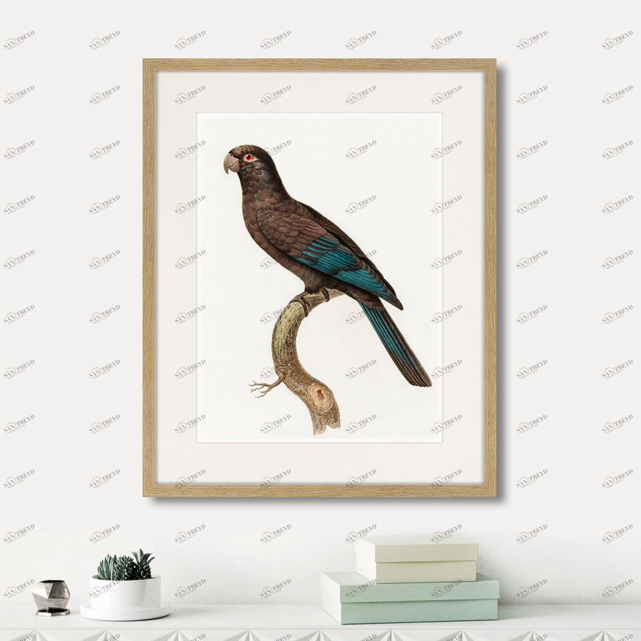 Литография на тонированной бумаге 52х42 см Beautiful parrots №10, 1872г. КАРТИНЫ В КВАРТИРУ  264300 Белый;коричневый;разноцветный 