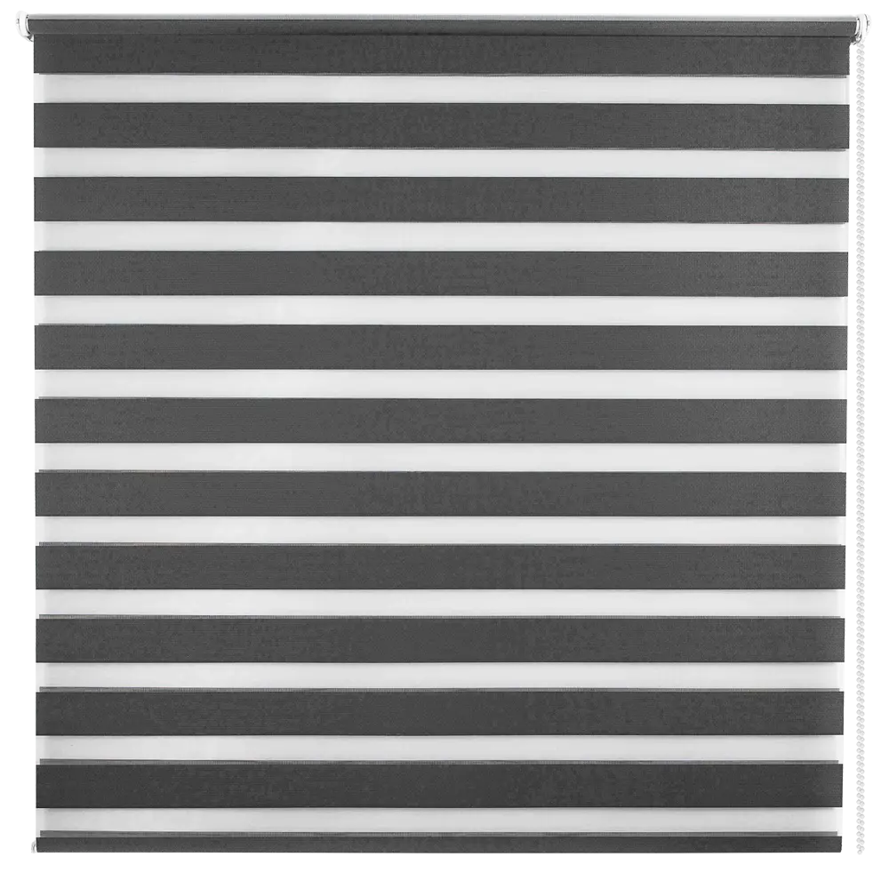 Штора рулонная день-ночь Silver 140x175 см графит Santreyd Д/Н SILVER STLM-2069169