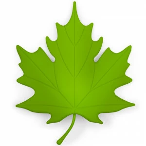 Подпорка для двери зеленая Autumn QUALY  00-3880686 Зеленый