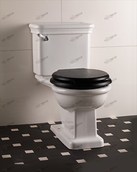 WCETUSA Компакт унитаз с бачком Белый Devon&Devon  Италия 