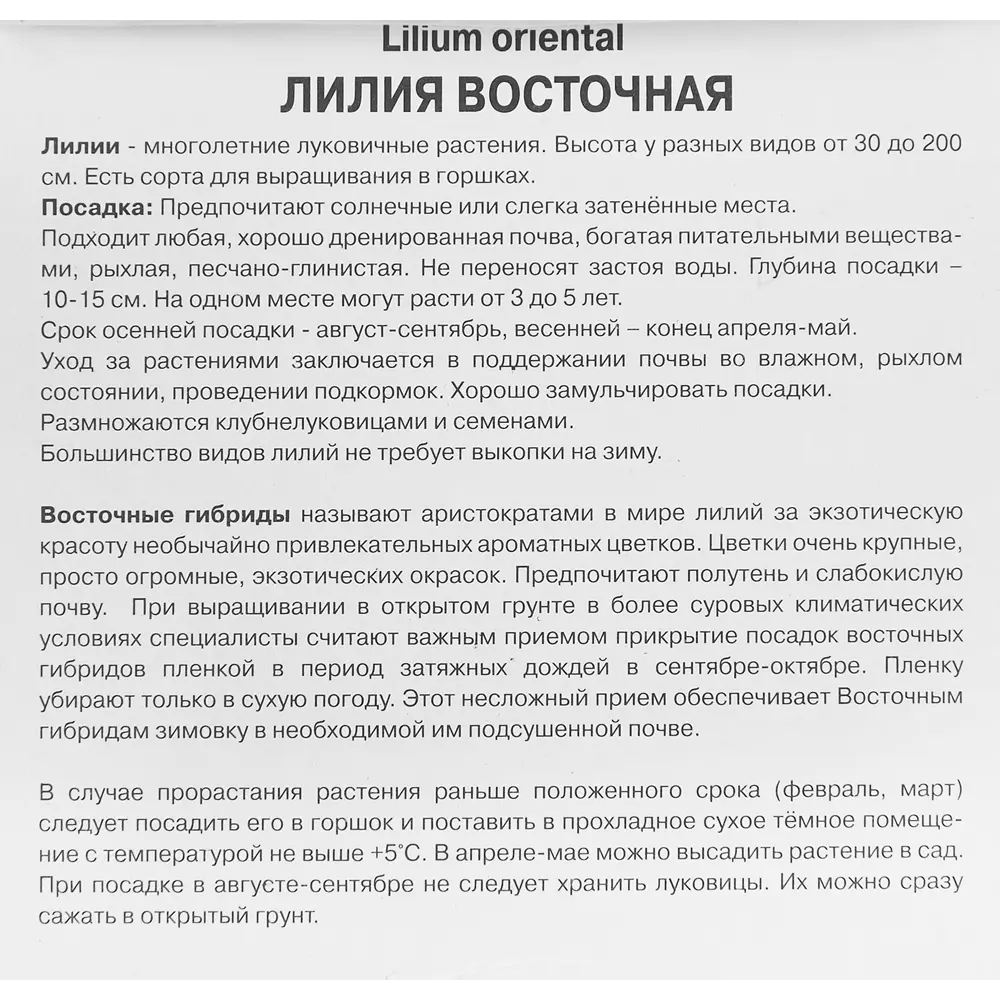 Лилия восточная Тарранго 1 шт. 83588543 STLM-2145946 Santreyd  - Вид №2