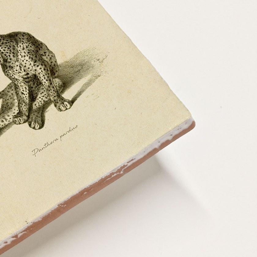 Groovy Magnets Настенный декоративный предмет из керамики Tiles M-tile-pa - Вид №3