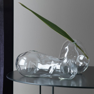 C37X215 Fagiolo Adriani e Rossi