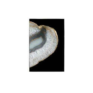 91336274 Картина в раме Alumoart "Ammonite" 013.008B, 116x76 см, крепление через профиль STLM-0828451