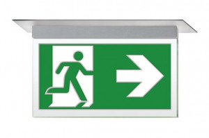 DST-2019 Ikusmet 2211-m Daisalux Светильники сигнальные Серебристо-Серый