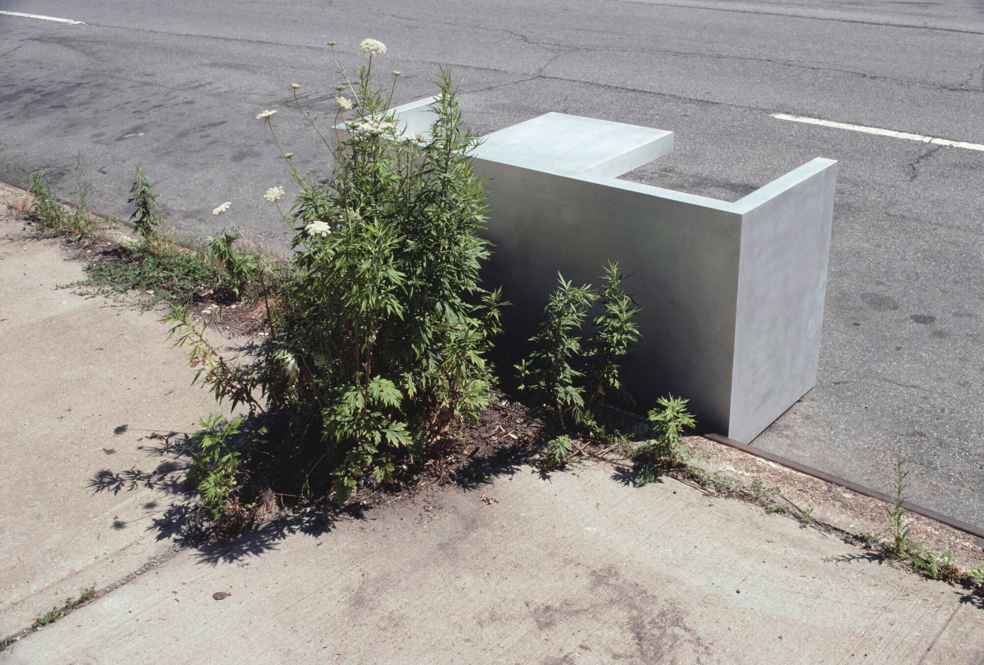 Скамейка со столом e15 TAFEL ARCH-00096216 - Вид №8