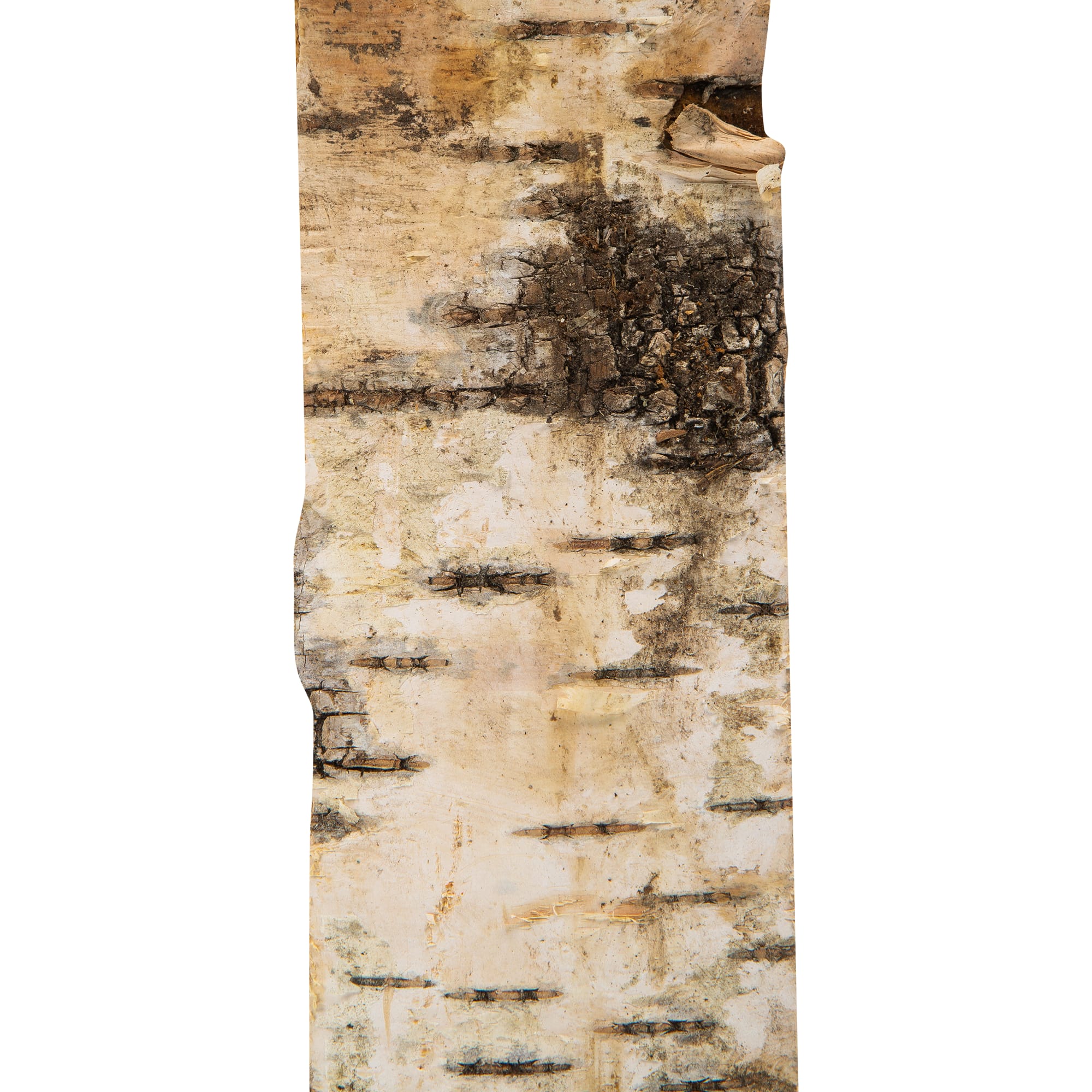 11069142 Дрова берёзовые 0.015 м3 Santreyd  - Вид №3