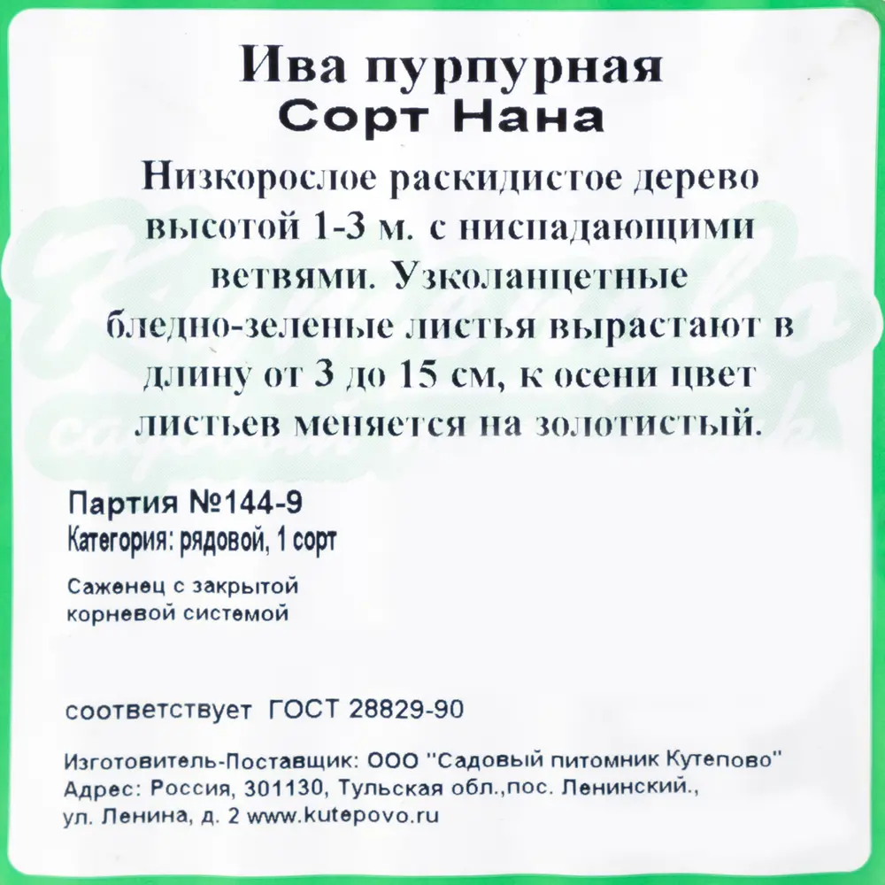 Ива пурпурная «Нана» С2 40 см 82237720 STLM-2101566 Santreyd 