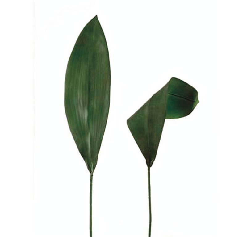 L121X3 Зеленый лист Adriani e Rossi Зеленый 