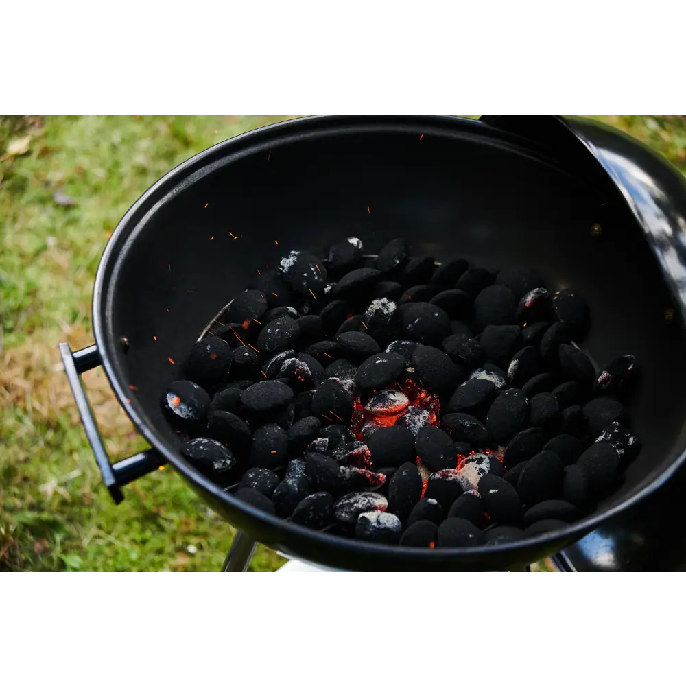 Брикеты топливные, древесноугольные, 2 кг. 13673271 STLM-2192816 Santreyd  - Вид №3