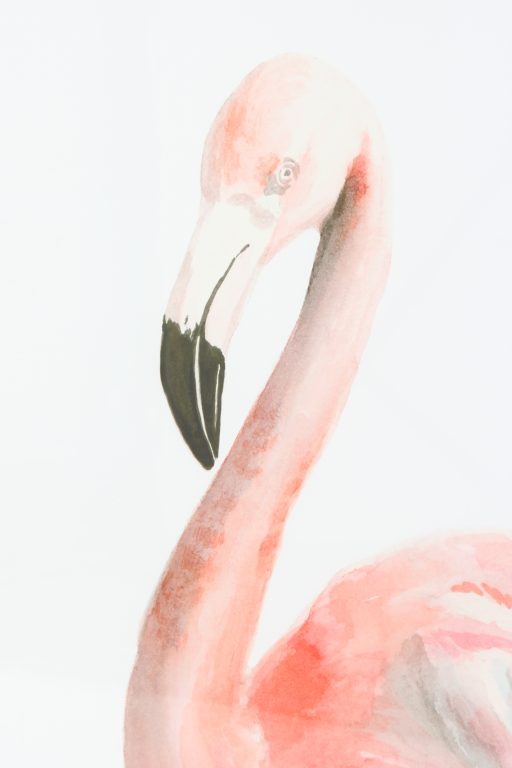 2000983162328 Постер Flamingo LINIE DESIGN  - Вид №1