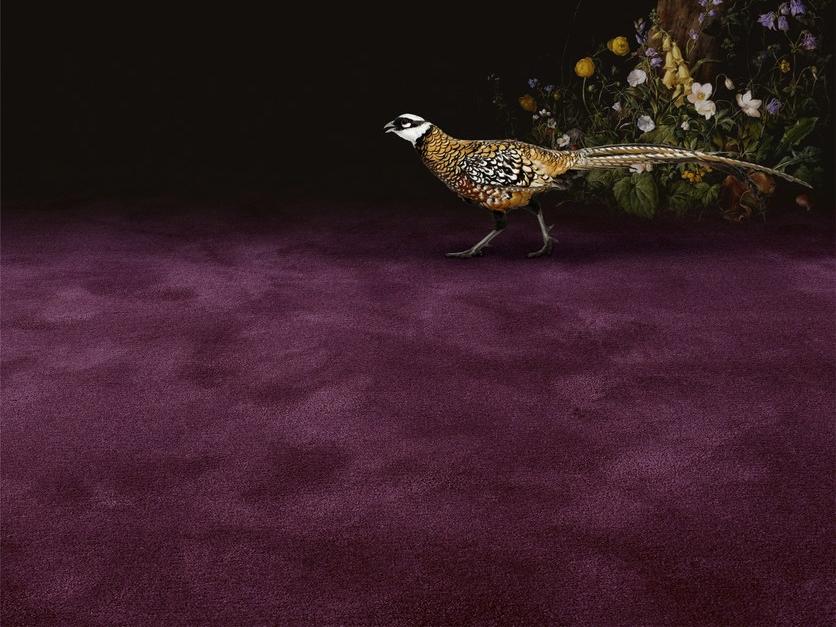 OBJECT CARPET Обычный шерстяной ковер Manufaktur sun-id-1440159 - Вид №5