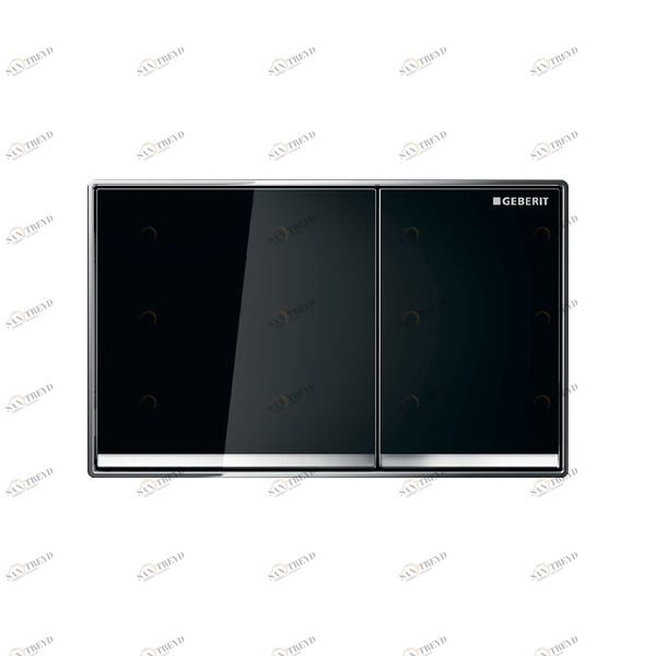 Смывная клавиша Omega 60 чёрная 115.081.SJ.1 Santreyd 