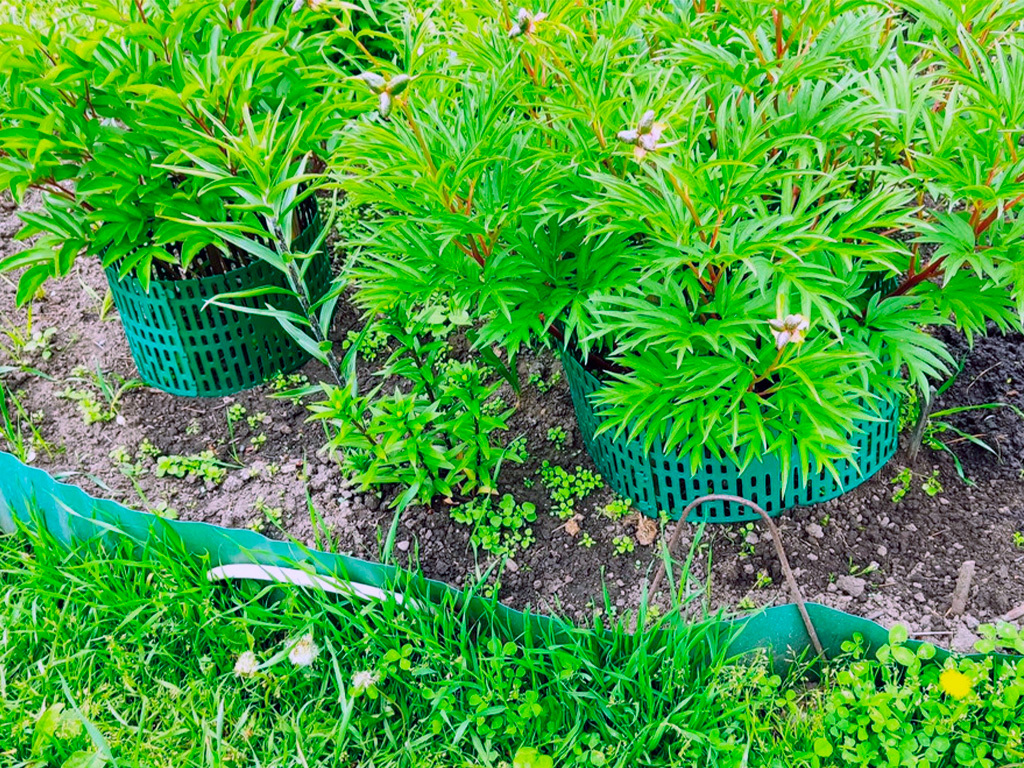 Защитно-декоративное ограждение, цвет зелёный 4 шт ГеоПластБорд GPBST-185 - Вид №6