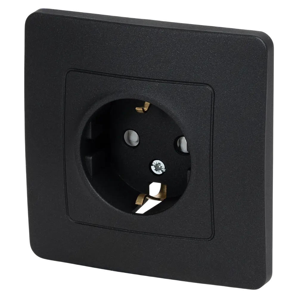 Розетка встраиваемая Systeme Electric Blanca с заземлением со шторками цвет антрацит STLM-2187996 - Вид №1