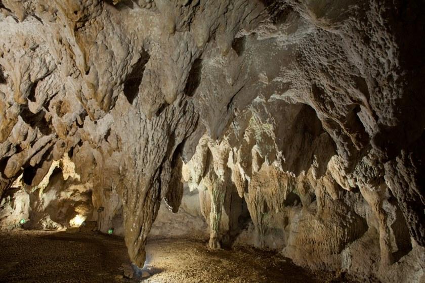 iGuzzini Алюминиевый светодиодный уличный проектор Woody sun-id-1410986 - Вид №1