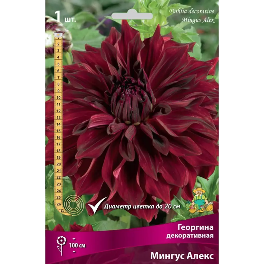 Георгина декоративная Мингус Алекс луковица I 83593801 STLM-2149692 Santreyd 