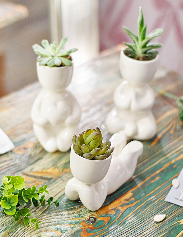 1003 Набор для выращивания eco мечтатель Экочеловеки  - Вид №4