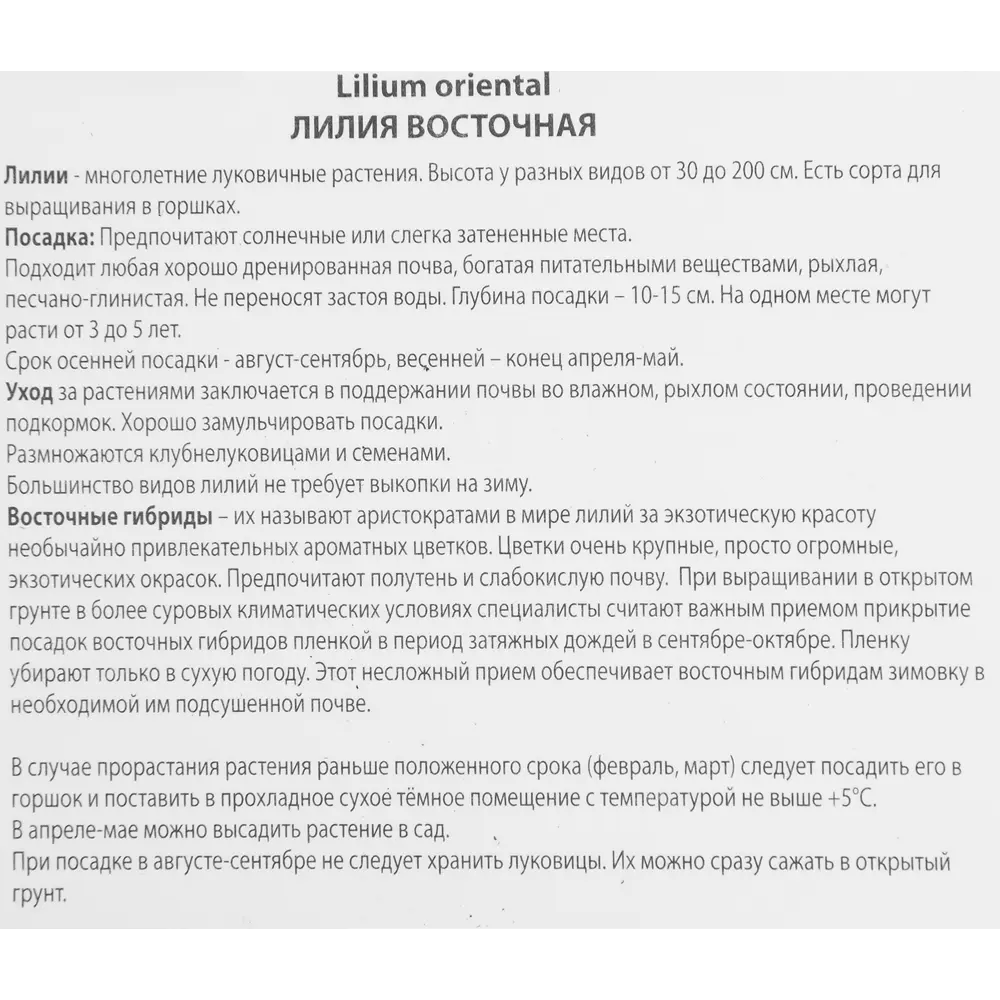 Лилия восточная Блэк Белт 85205782 STLM-2193984 ПОИСК  - Вид №2