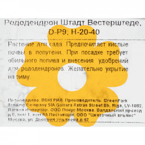 17892295 Рододендрон Штадт Вестерштеде, Р9