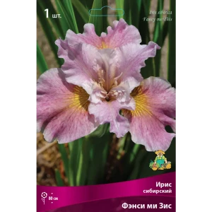 Ирис сибирский «Фэнси ми Зис» разбор I 82662340 STLM-2067949