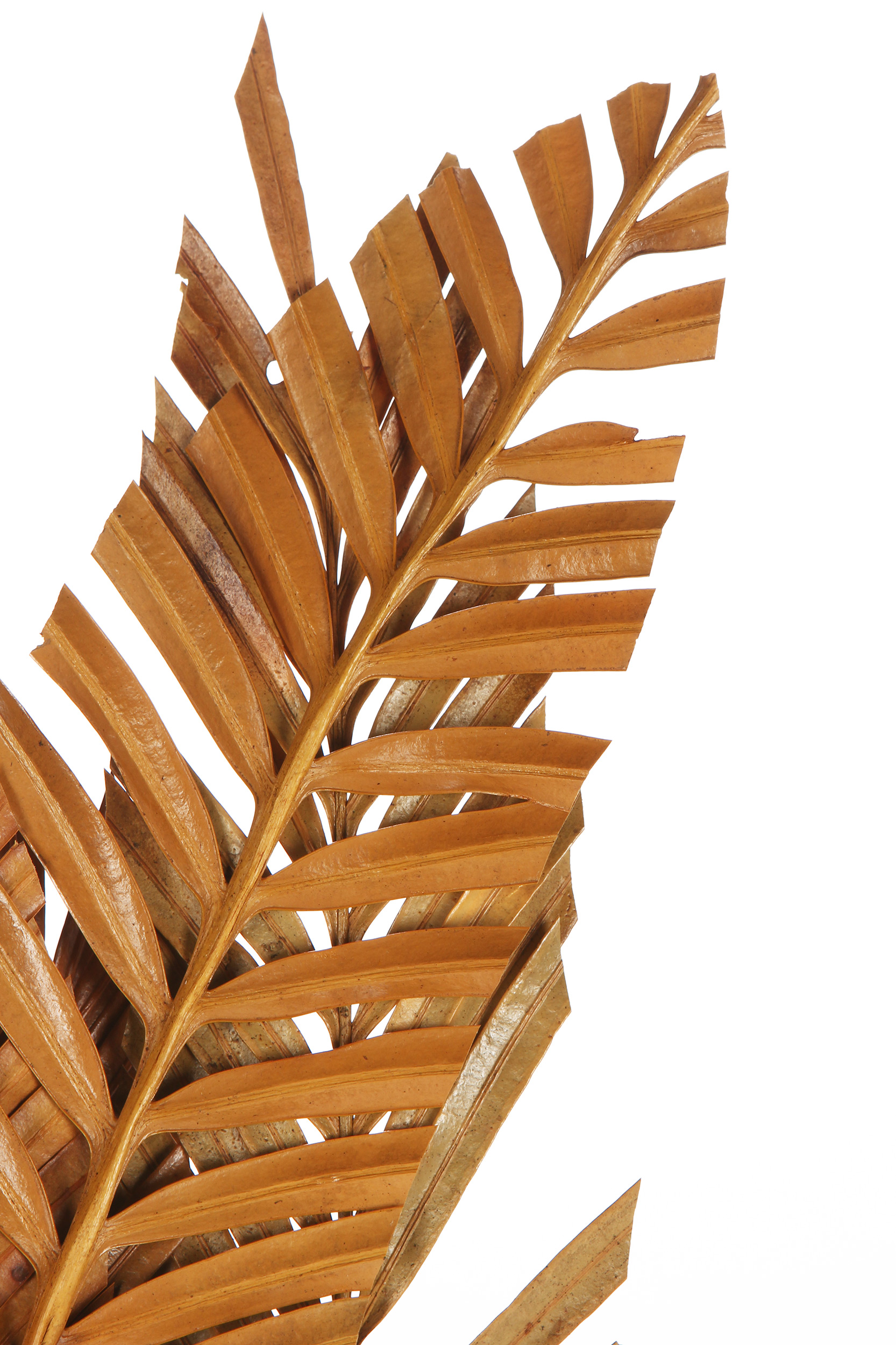 8008215159157 Декор Fiore 8 LA FORMA  - Вид №3