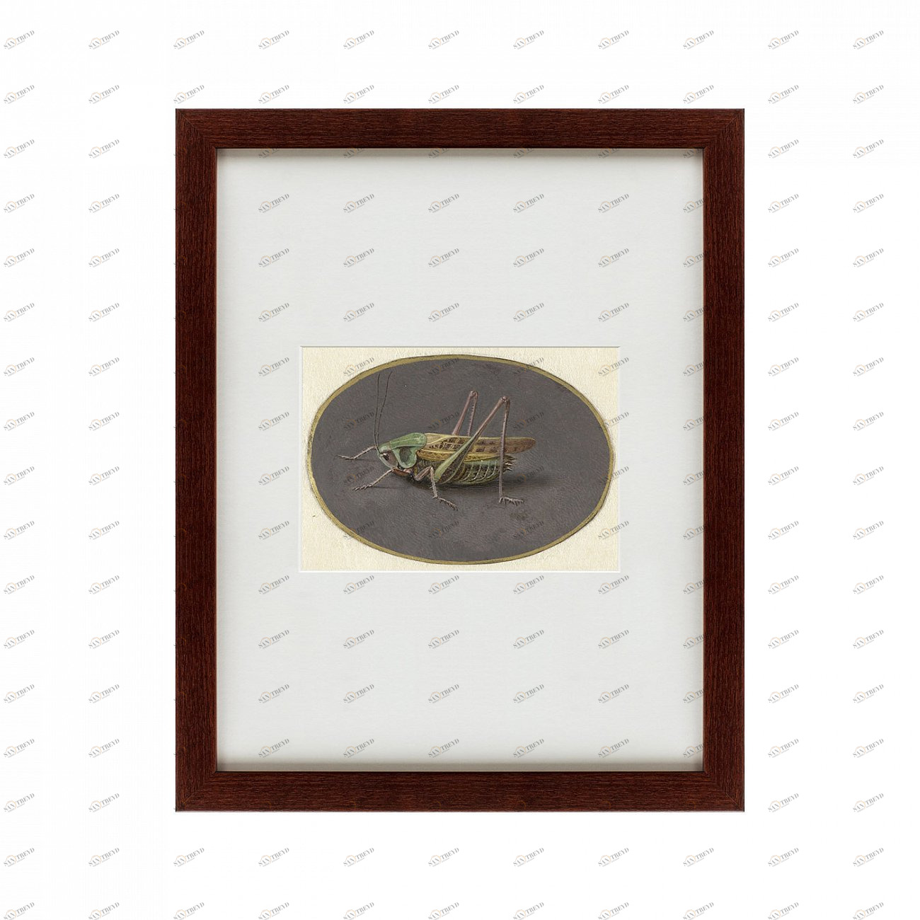 Картина: Sprinkhaan, 1690 КАРТИНЫ В КВАРТИРУ  135746 Разноцветный 