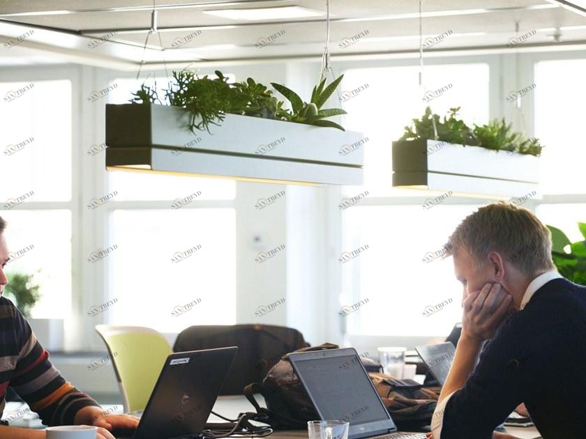 Greenworks Подвесной светильник / ваза sun-id-1381947