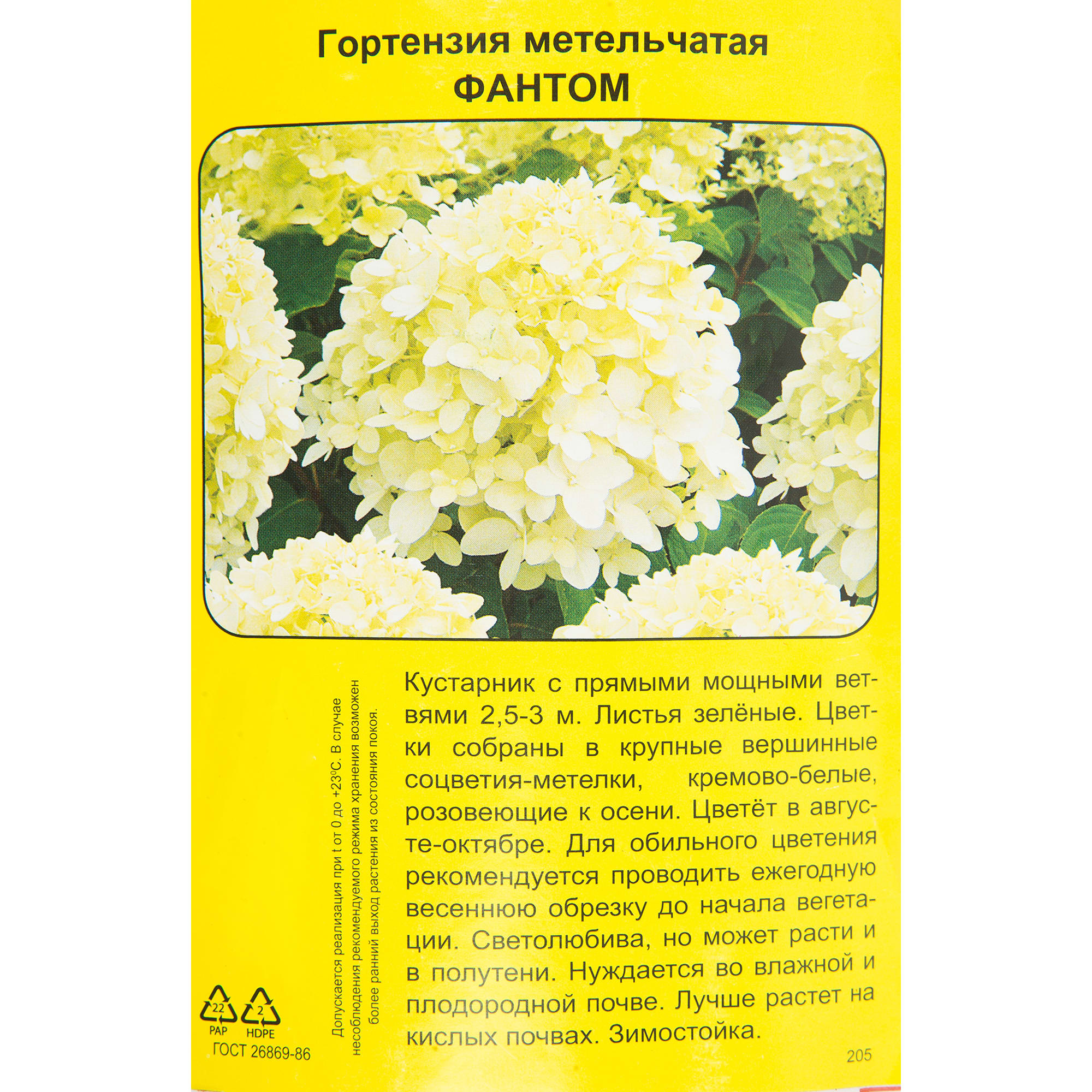 83786892 Гортензия метельчатая Фантом h40 см Santreyd 