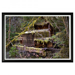 896519146_1818 Арт-постер «В плену зарослей» Object Desire