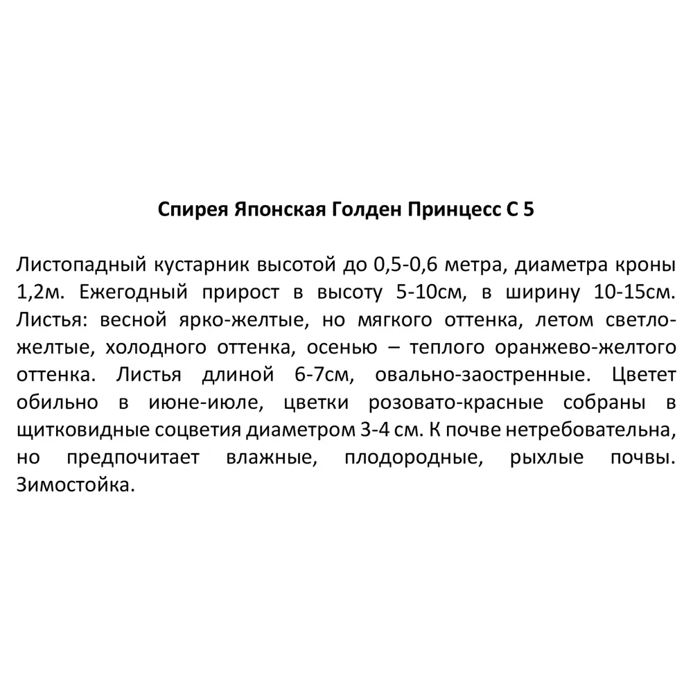 Саженец Спирея японская Голден Принцесс ø20 h150 см 84815578 STLM-2116834 Santreyd  - Вид №2