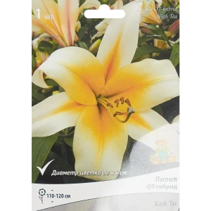 Лилия От-гибрид Хай Ти 85186037 STLM-2140667