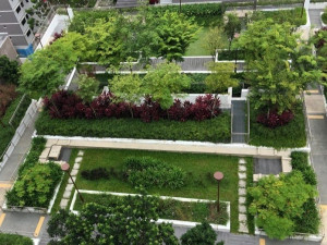 Система крыши сада