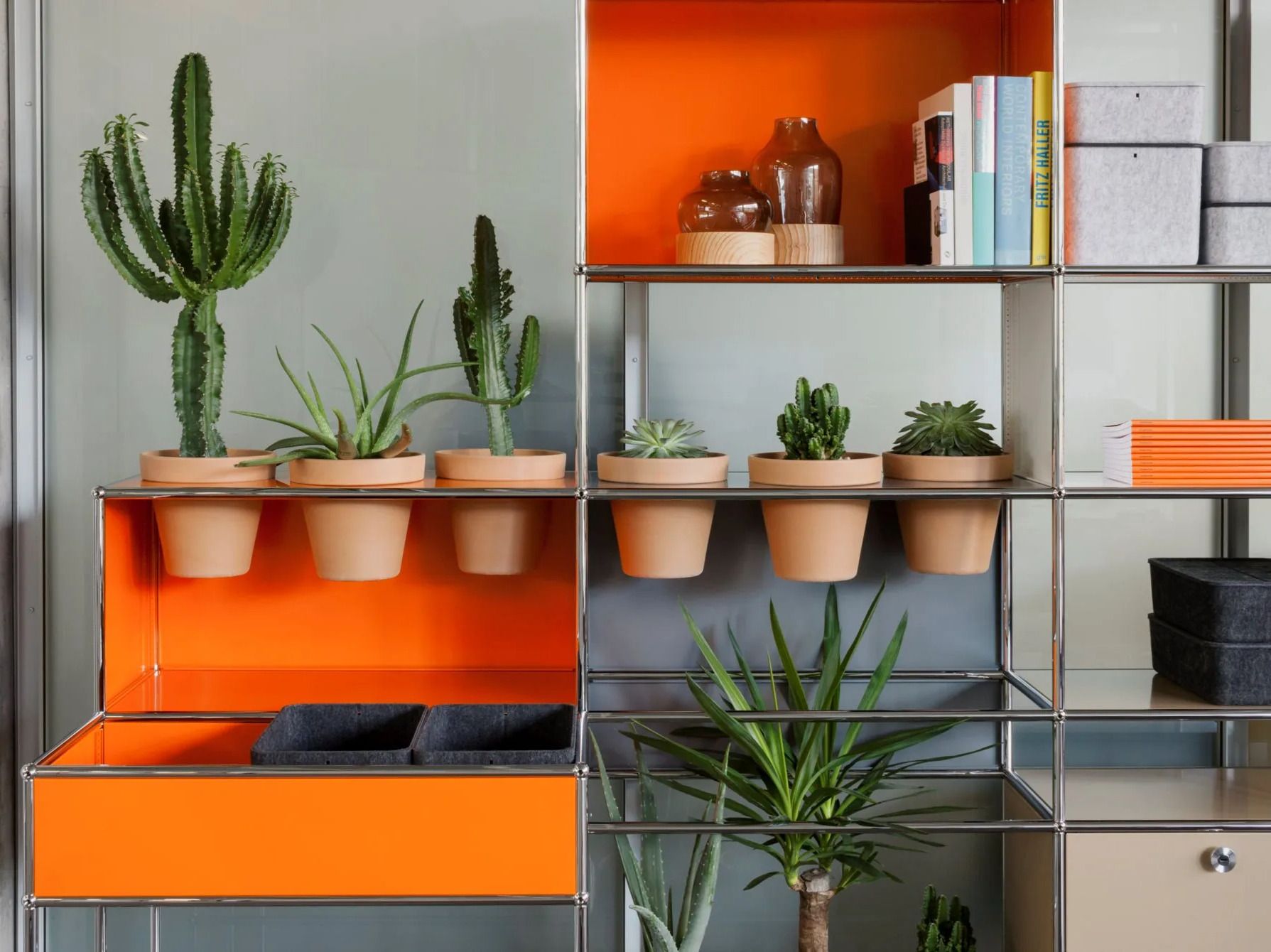 Медиа-библиотека USM мир растений для USM Haller ARCH-00122253 - Вид №1