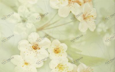 Сакура зеленый 01 25х40 Шахтинская Плитка 010301001893