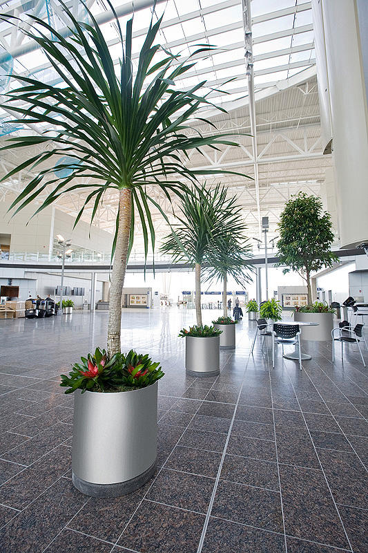 FSRT216 Универсальная сеялка  Forms-surfaces  - Вид №4