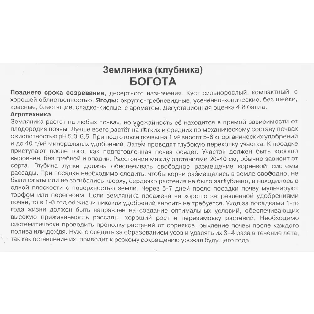 Земляника традиционная поздняя 3 шт. 82528934 STLM-2067086 Santreyd  - Вид №1