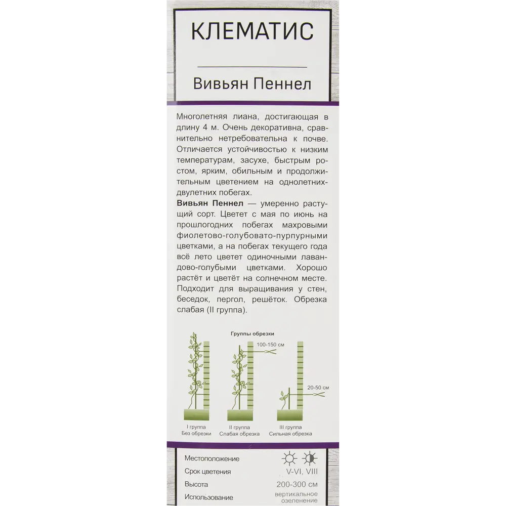 Клематис крупноцветковый Вивьян Пеннел 82527598 STLM-2039078 Santreyd  - Вид №2