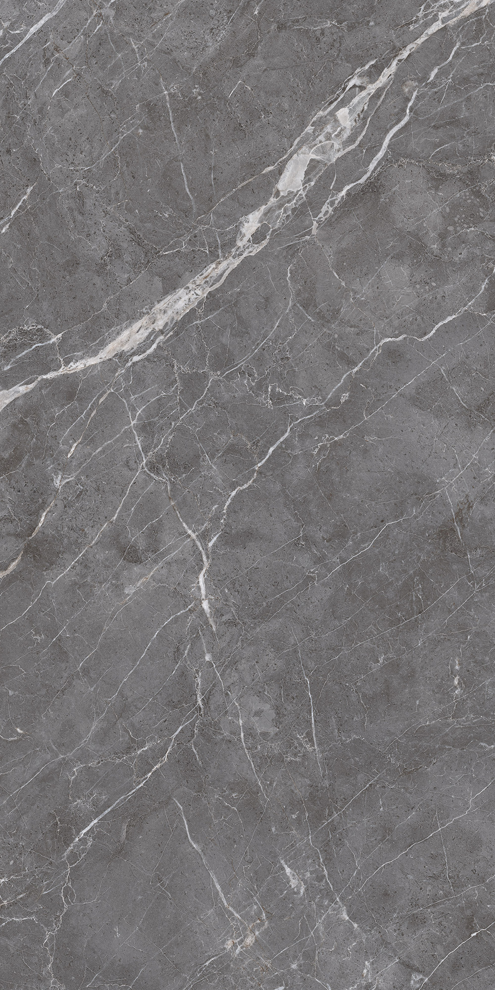 ESPERIA GRIGIO LAPPATO ARCADIA CERAMICA CL4003-A - Вид №4