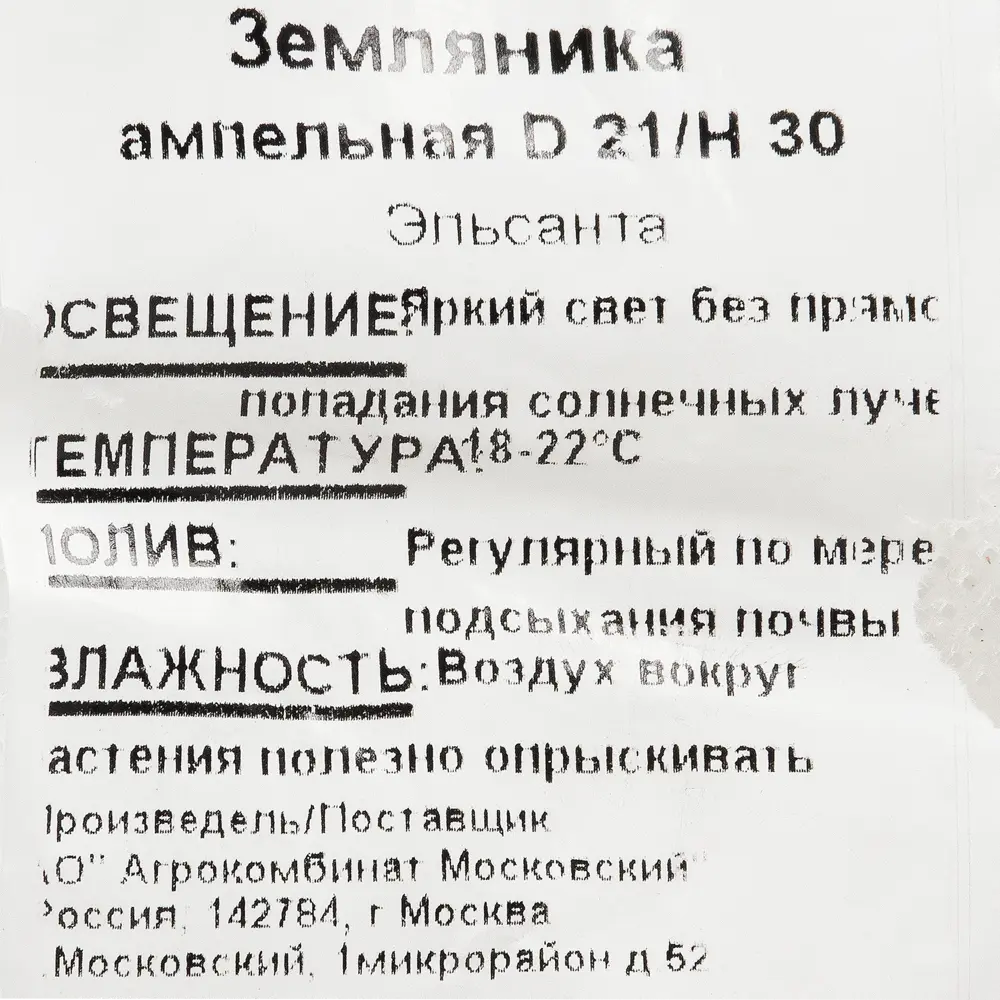 Ампельная земляника Santreyd для кашпо и вертикального озеленения 12710130 STLM-1504662 - Вид №1