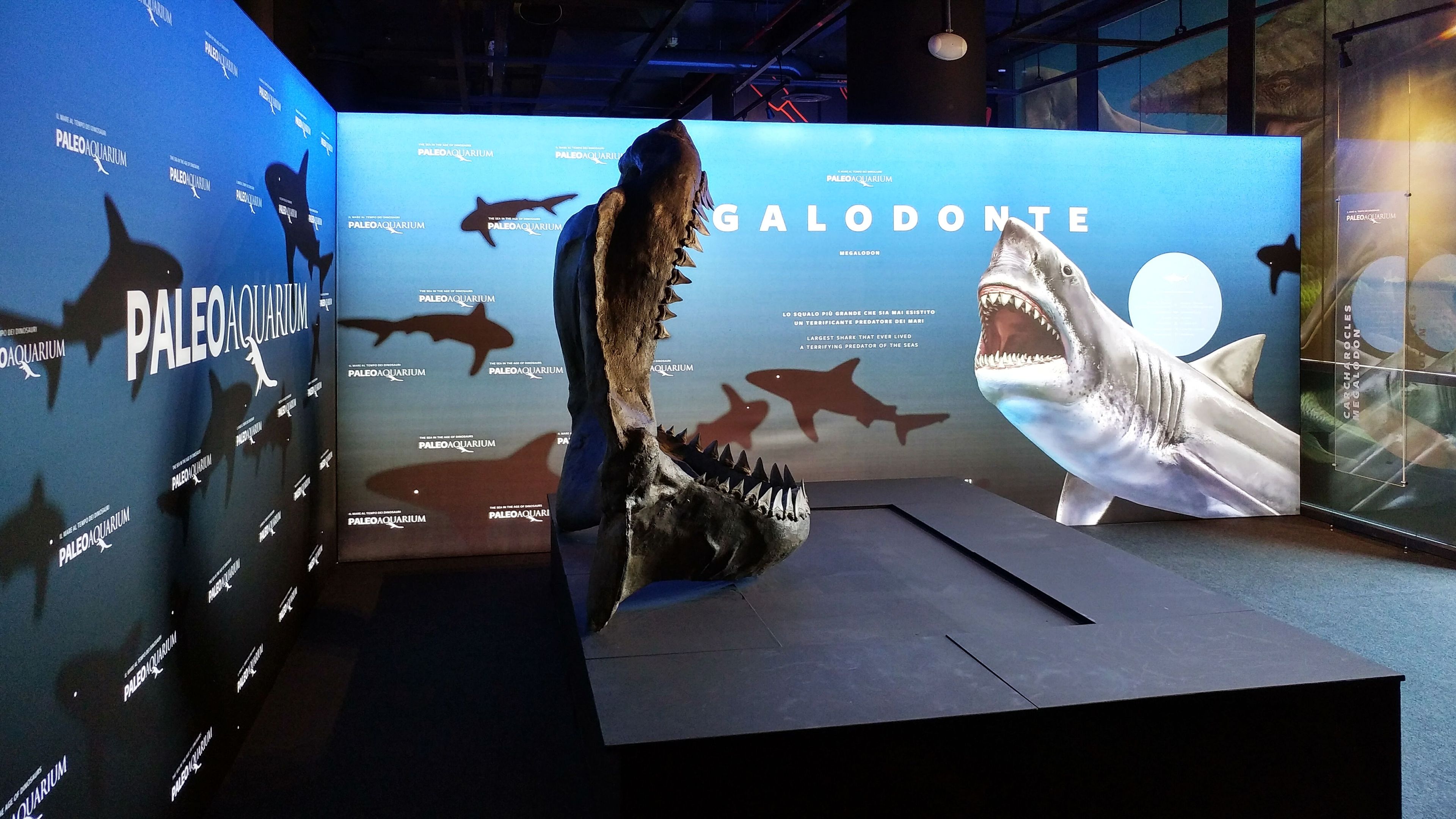 Алюминиевая и тканевая система для музейной отделки ABS Group ALLESTIMENTI PER MUSEI ARCH-00107562 - Вид №3