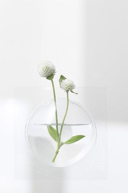 Plus D Настенная ваза из пвх sun-id-1434175 - Вид №16