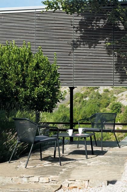 emu Darwin  526  - Вид №4