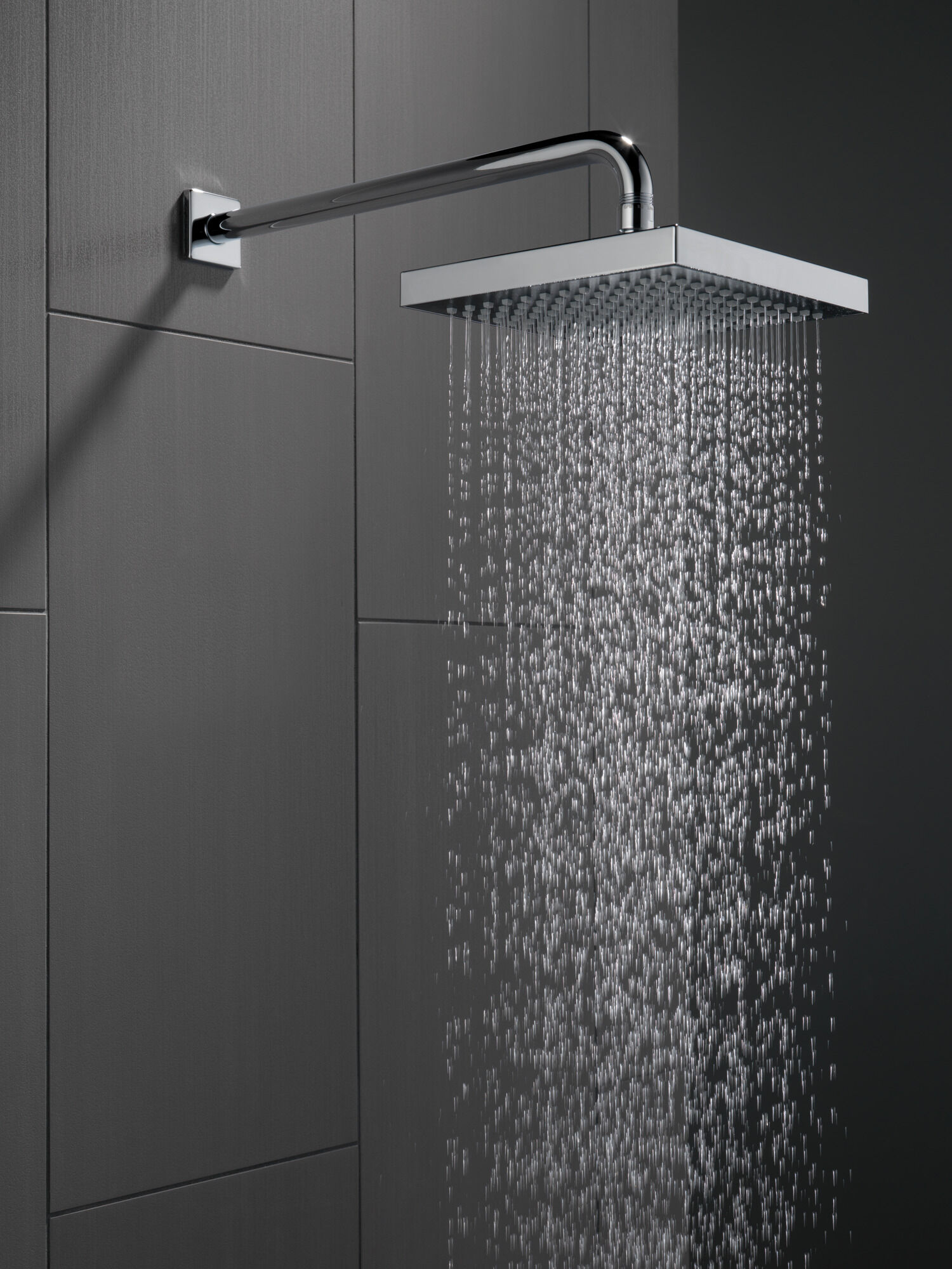 RP50841 Душевая лейка Raincan с одинарной настройкой Delta Faucet Universal Showering Хром  - Вид №1