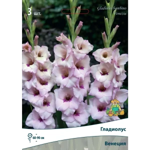 Гладиолус бамбино Венеция луковица 10/12 83596542 STLM-2116926