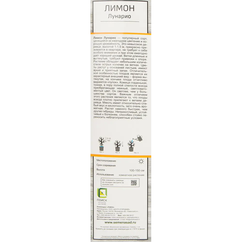 Цитрус Лимон лунарио h37 см 83791480 STLM-2211819 Santreyd  - Вид №1