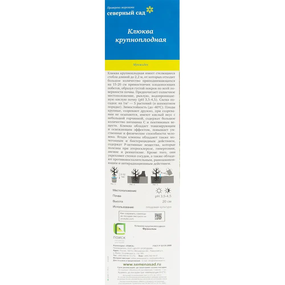 Клюква крупноплодная Северный Сад Франклин 82529008 STLM-2167477 Santreyd  - Вид №2
