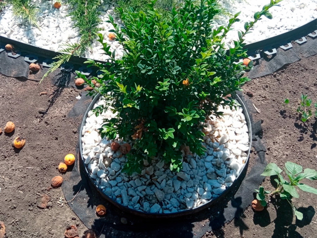 Садовый бордюр "Манго" ПП 38 мм, чёрный, 10 метров ГеоПластБорд GPBST-35 - Вид №4